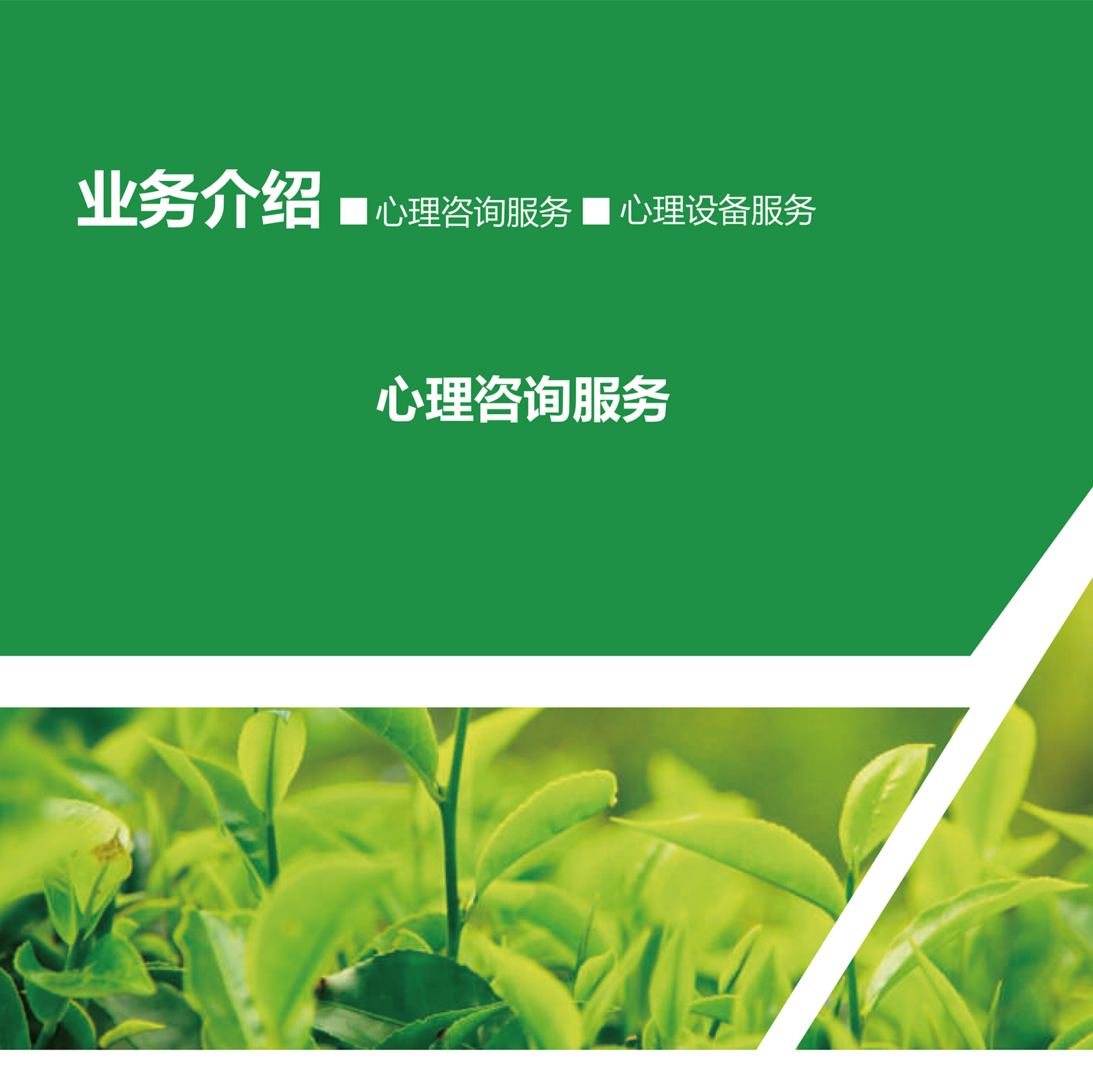 业务介绍