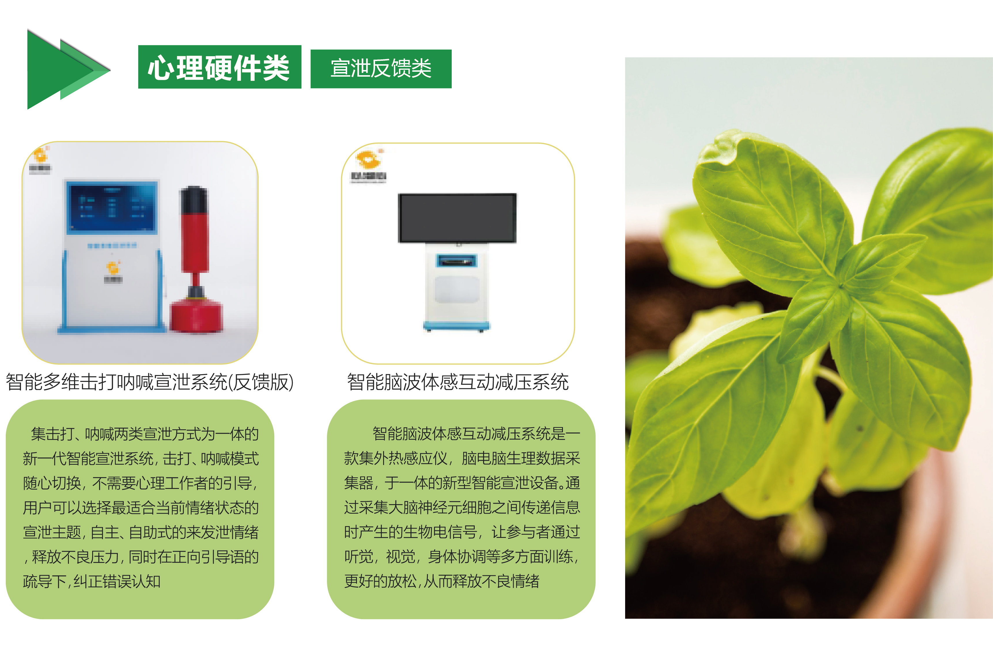 宣泄反馈类