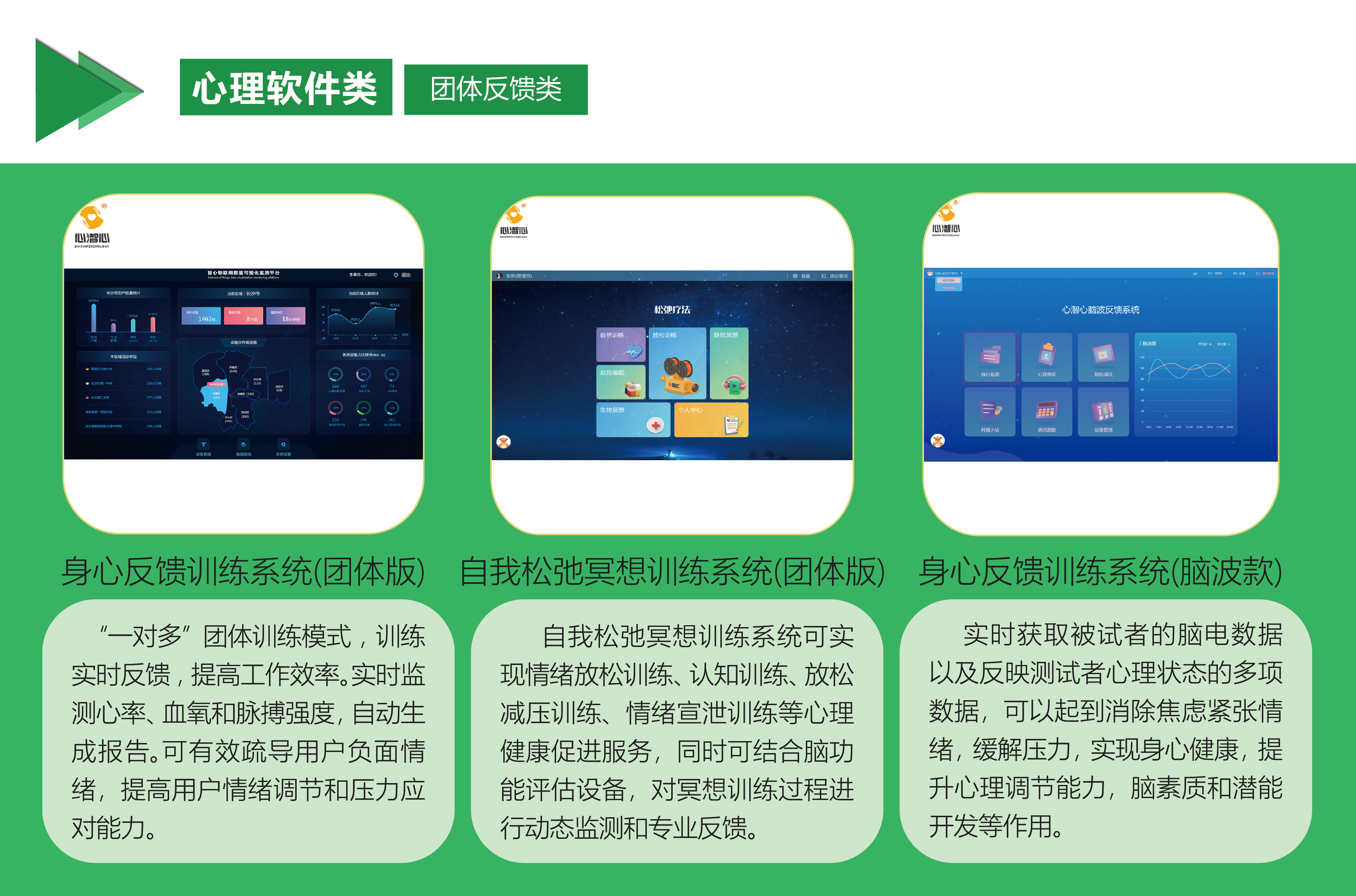 团体反馈类